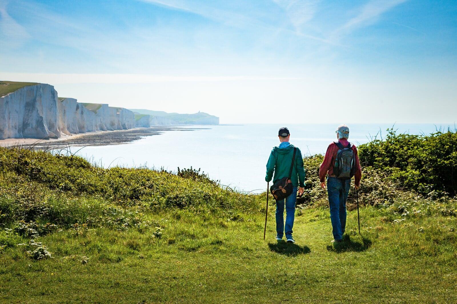 Your Pension Options: Defined Benefit vs Defined Contribution